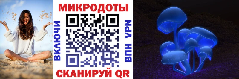Галлюциногенные грибы Psilocybe  купить закладку  Петровск-Забайкальский 
